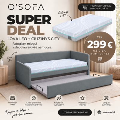 Lova LEO Grey + Čiužinys SMART 90